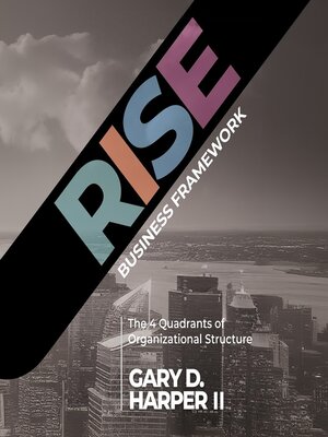 cover image of RISE Business Framework